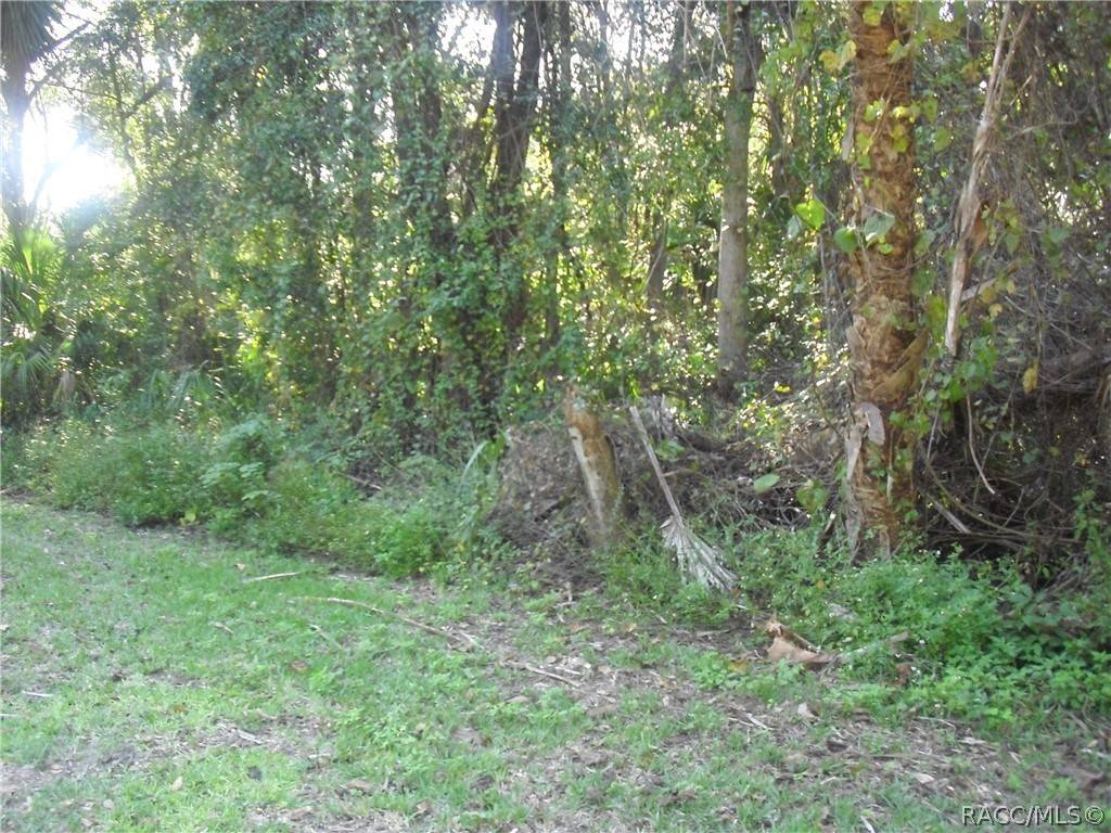 0 Allen AVE, Inglis, FL 34449