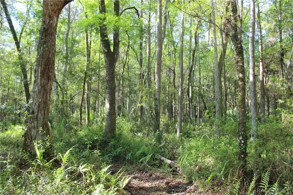 Homosassa, FL 34448,1500 S Candlenut AVE