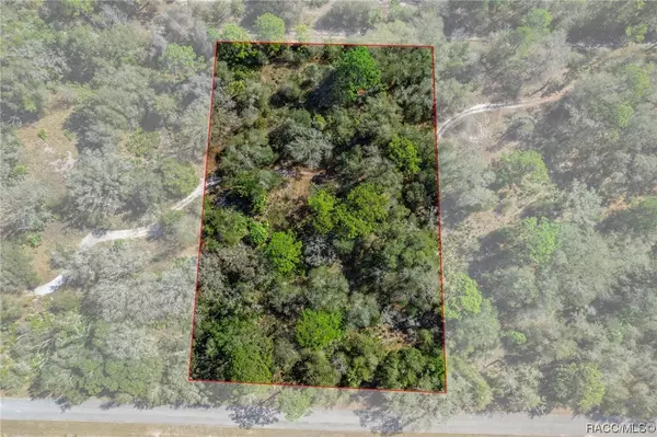 Crystal River, FL 34428,10181 N Marigold TER