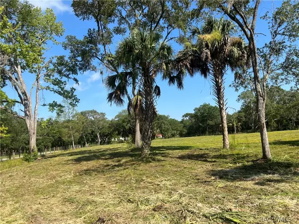 Crystal River, FL 34428,11684 W Deodar ST