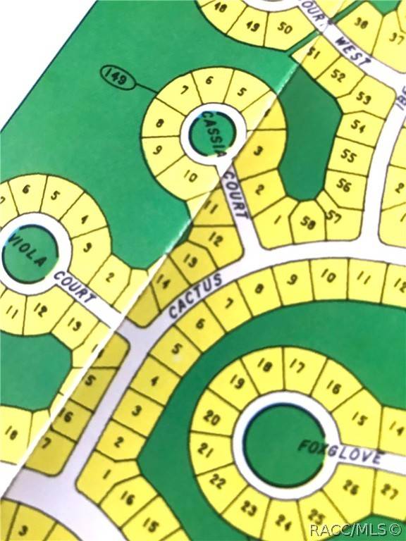 13 Cactus ST, Homosassa, FL 34446