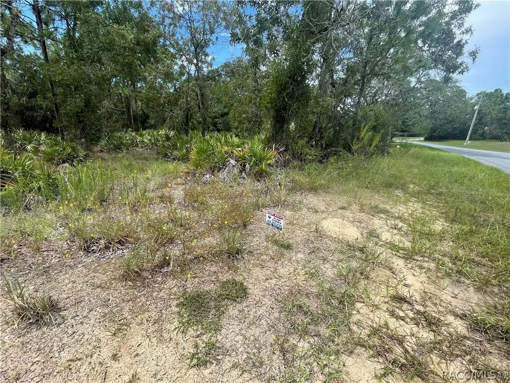 Homosassa, FL 34446,107 Linder DR