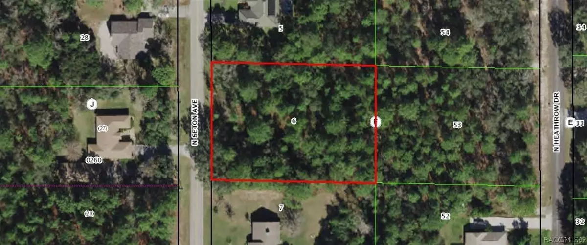 Lecanto, FL 34461,615 N Seton AVE