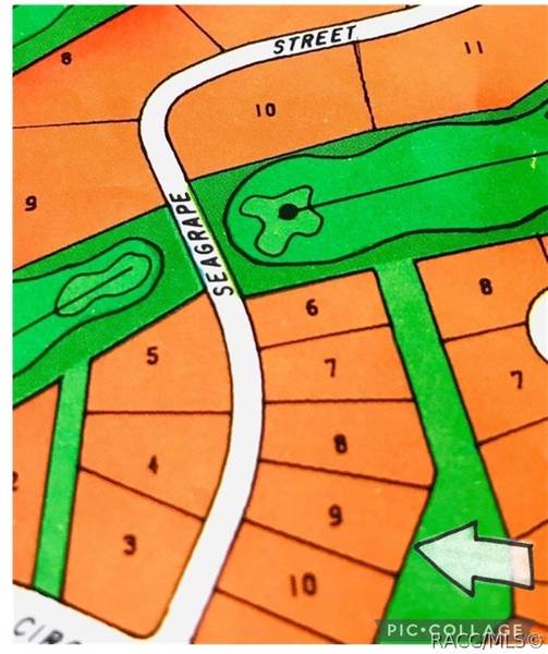 21 Seagrape ST, Homosassa, FL 34446