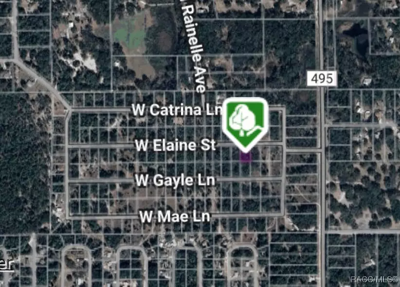 Crystal River, FL 34428,8150 W Elaine ST
