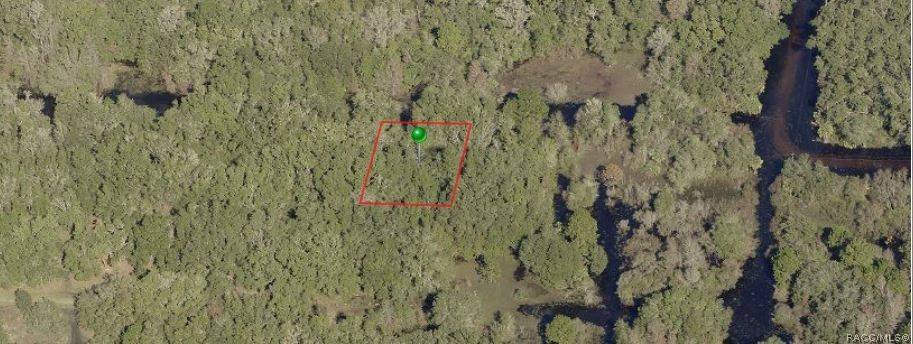 Crystal River, FL 34428,8150 Elaine ST