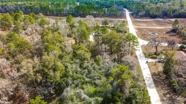 Weeki Wachee, FL 34614,0 Velvet Scoter AVE