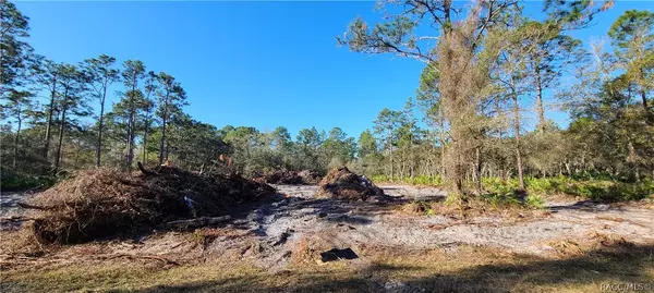 Crystal River, FL 34428,11808 W Flaxen DR