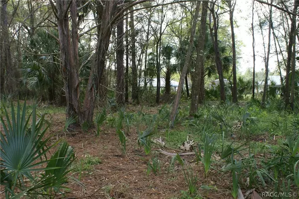 Crystal River, FL 34433,7126 & 7132 W Crestview LN
