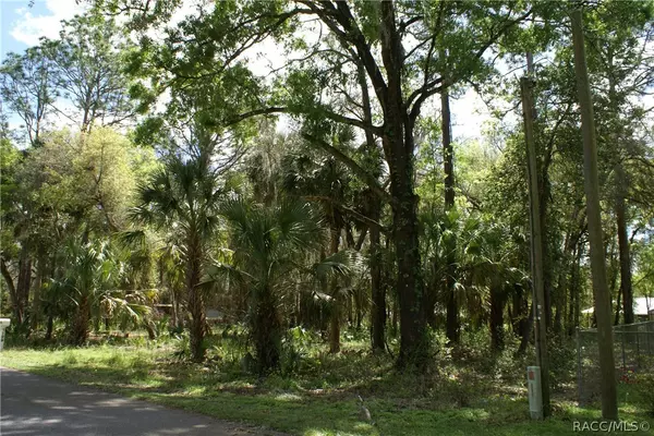 7126 & 7132 W Crestview LN, Crystal River, FL 34433