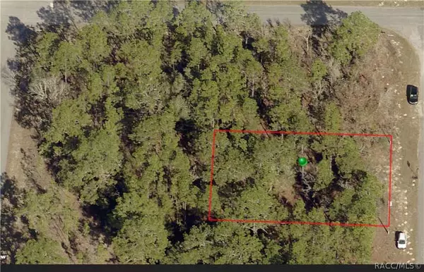 6386 N Falmouth TER, Citrus Springs, FL 34434
