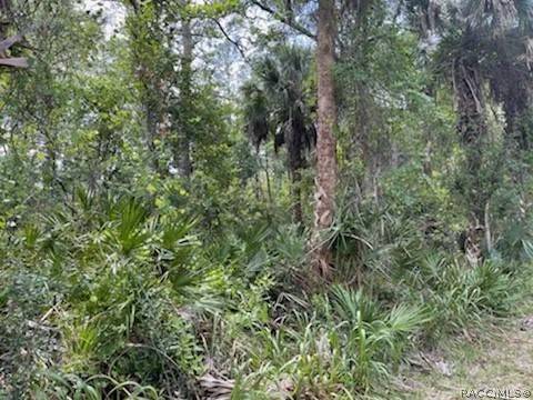 Homosassa, FL 34448,8107 W Mayfair DR