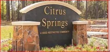 Citrus Springs, FL 34434,8549 N RONDA DR