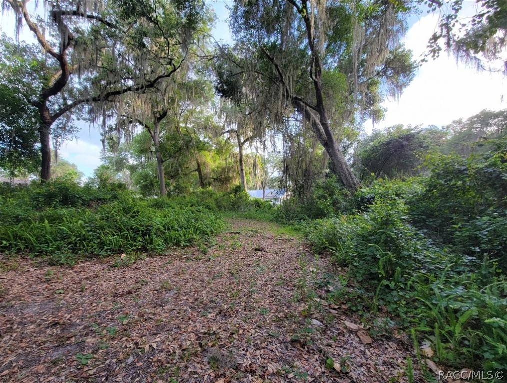 Inverness, FL 34450,29 N Shadow Wood DR
