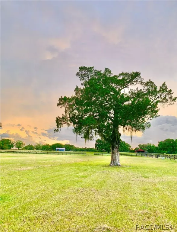 Dade City, FL 33523,16587 Bellamy Bros BLVD