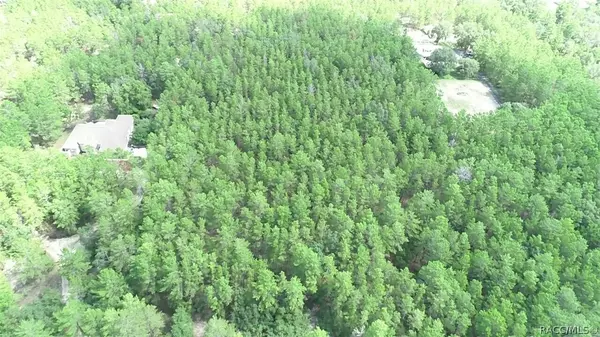 Weeki Wachee, FL 34614,00 Centralia RD