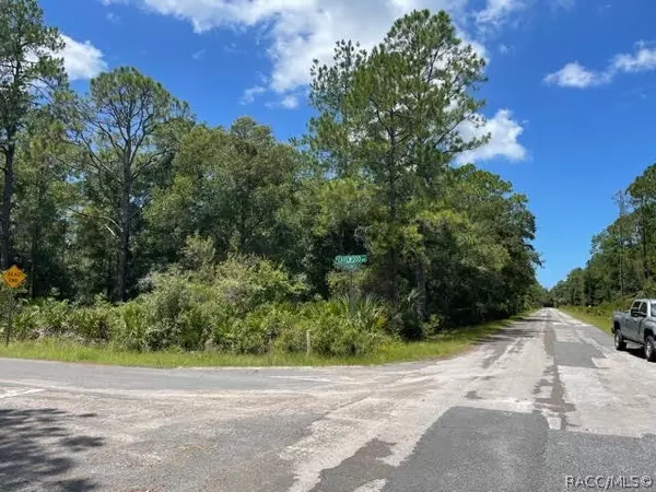 9187 N Cavewood AVE, Crystal River, FL 34428
