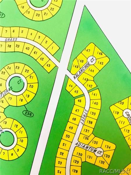 58 Grass ST, Homosassa, FL 34446