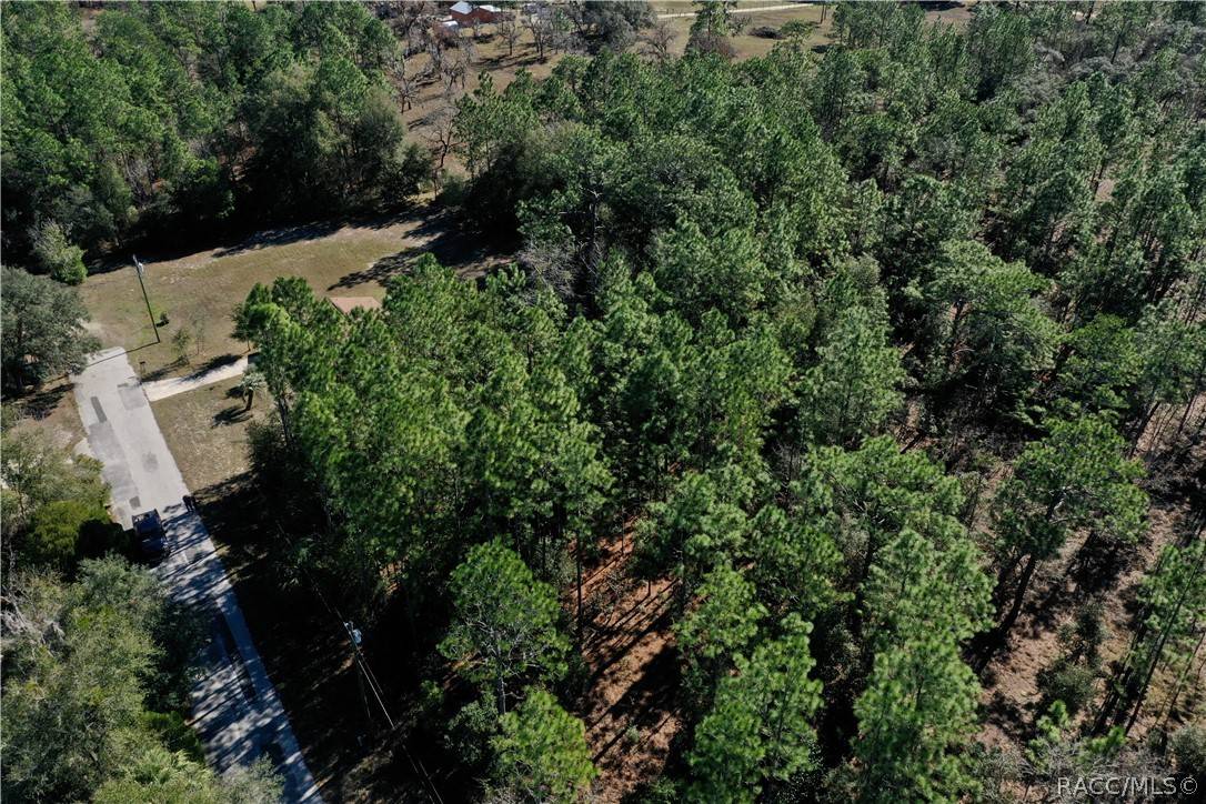 Dunnellon, FL 34433,6082 W Caruso CT