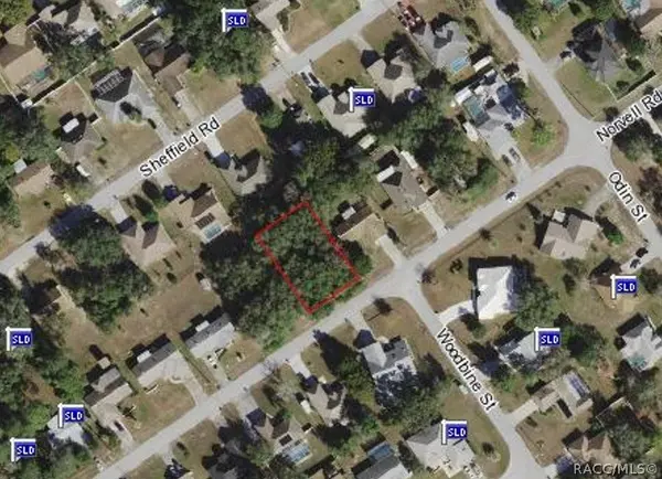 Spring Hill, FL 34608,11105 Norvell RD