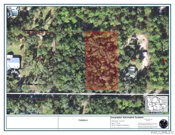 Crystal River, FL 34428,11937 W Caladium ST