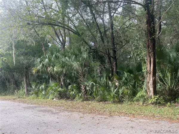 LOT 10 & 11 NW 20TH ST, Crystal River, FL 34428