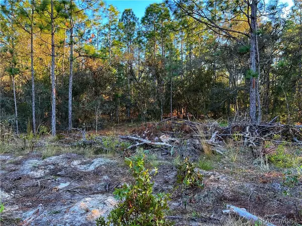 Weeki Wachee, FL 34614,00000 Seneca RD
