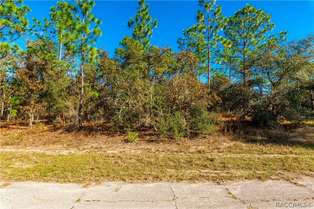 Citrus Springs, FL 34433,6672 N Tassel TER