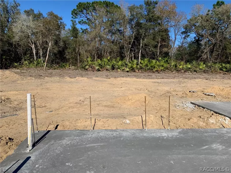 6169 N NAKOMA DR, Beverly Hills, FL 34465