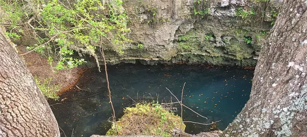 Williston, FL 32696,0 NE 10th ST