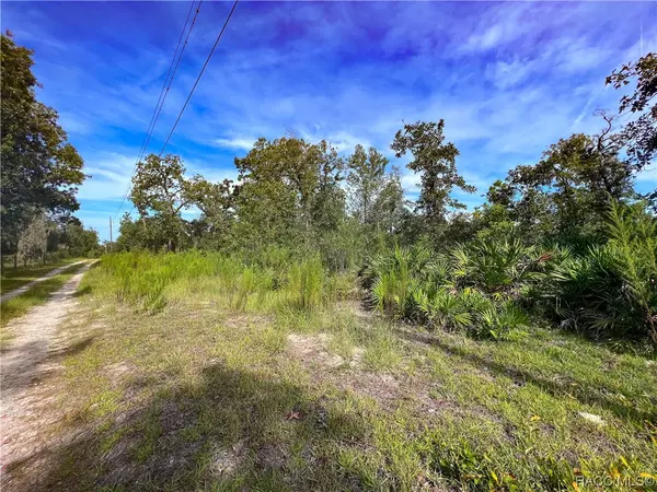 Homosassa, FL 34446,0 W Sandstone CT