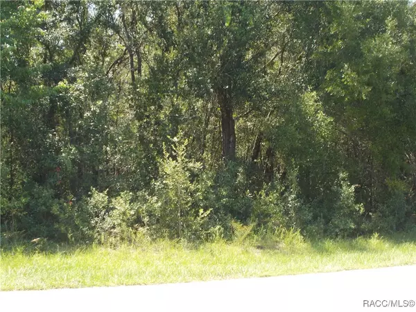 Inverness, FL 34453,1964 E CELINA ST