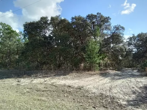 3574 W Eunice DR, Citrus Springs, FL 34433