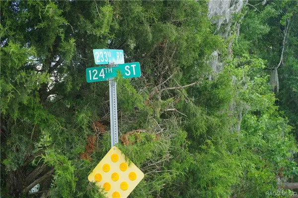 Live Oak, FL 32060,233XX 124 ST N