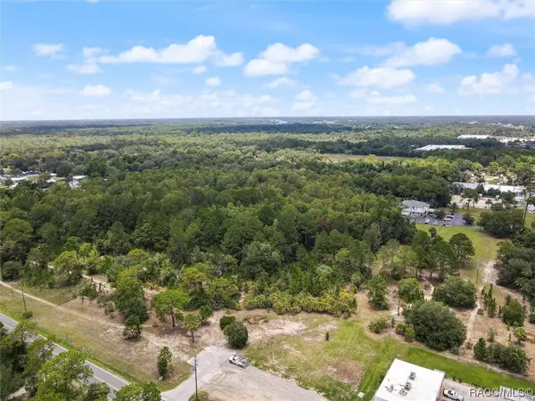 Crystal River, FL 34429,8839 W Ozello TRL