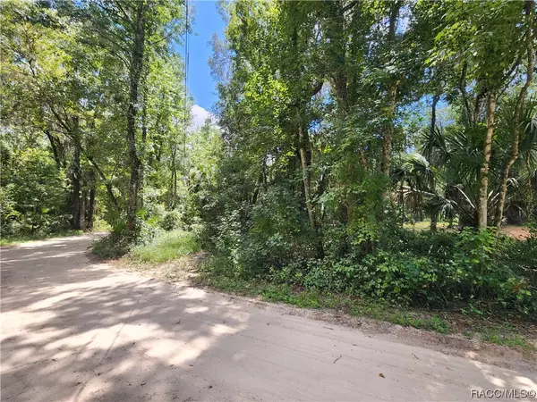 Hawthorne, FL 32640,169 She She RD