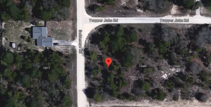 Weeki Wachee, FL 34614,000 Goldeneye RD