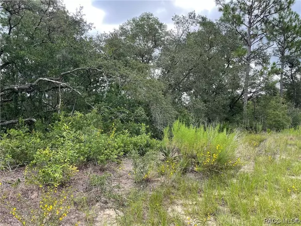 Citrus Springs, FL 34433,11737 N Shenandoah WAY