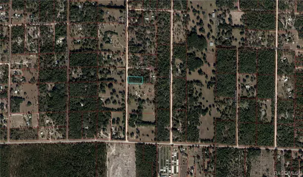 Williston, FL 32696,TBD NE 131 AVE