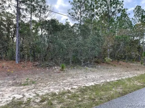 8851 N Lansen WAY, Citrus Springs, FL 34433