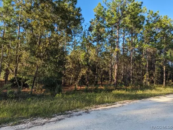 Ocala, FL 34481,TBD SW 52nd Lane RD