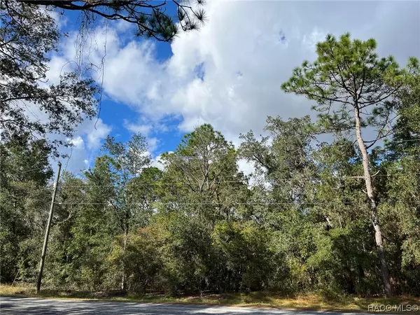 Hernando, FL 34442,923 W National ST