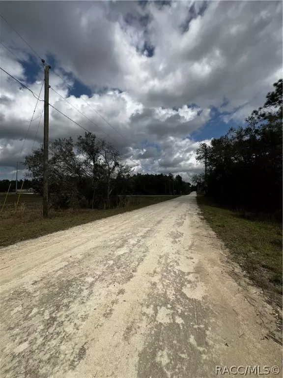 Weeki Wachee, FL 34614,0 Cedarwood AVE