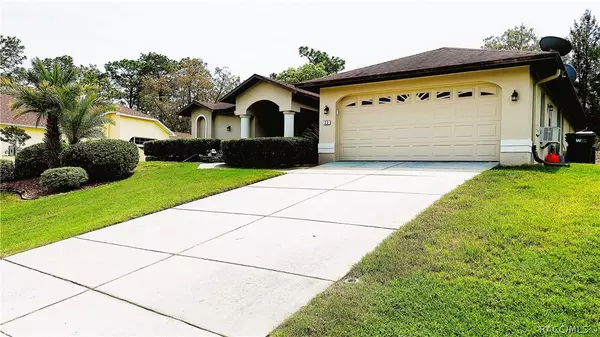 Homosassa, FL 34446,33 Torenia Verbenas CT