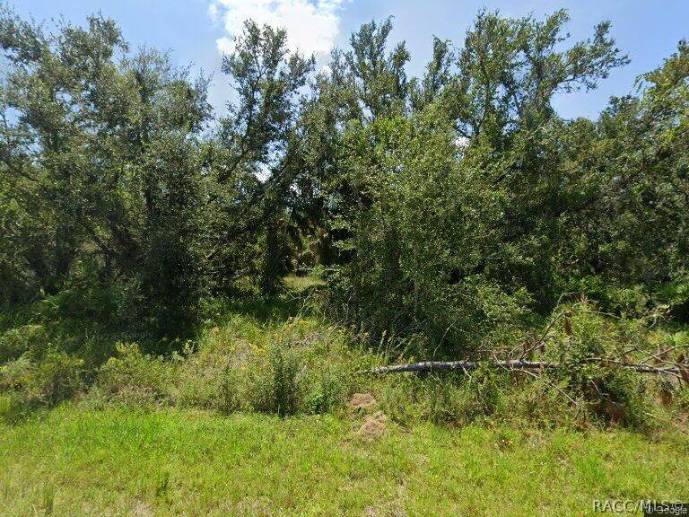 Punta Gorda, FL 33982,193 Rose CIR