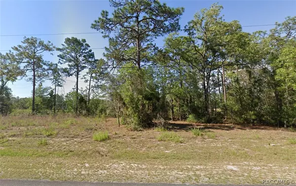 Citrus Springs, FL 34434,397 W Homeway LOOP