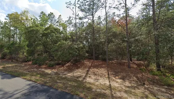 Citrus Springs, FL 34433,11048 N Trigger TER