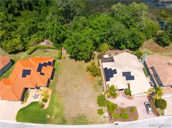 Land 0 Lakes, FL 34637,21049 Los Cabos CT