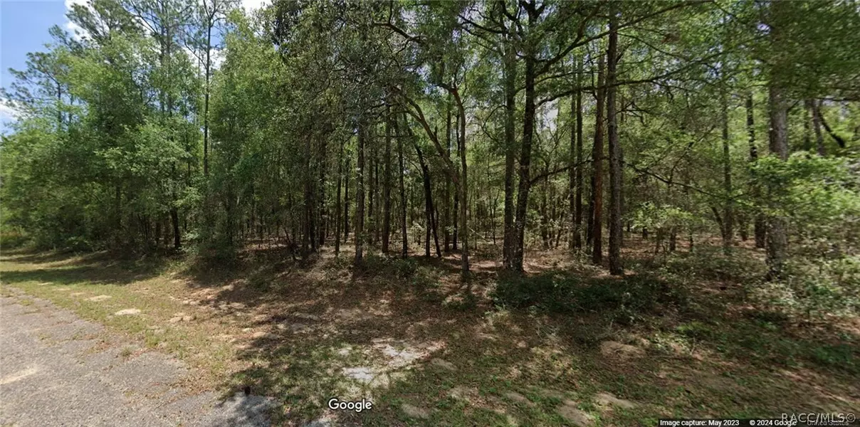 353 E Enfield LN, Dunnellon, FL 34434