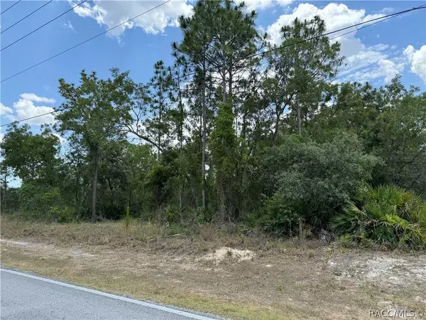 Brooksville, FL 34613,7260 Madrid RD